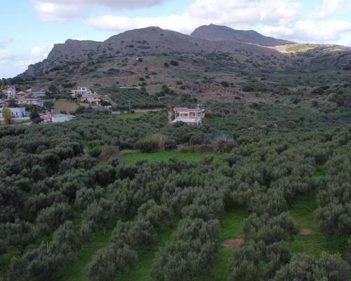 φωτογραφία ακινήτου