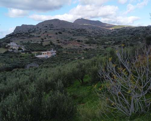 φωτογραφία ακινήτου