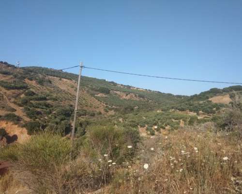φωτογραφία ακινήτου
