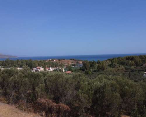 εικόνα ακινήτου