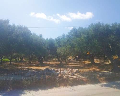 φωτογραφία ακινήτου