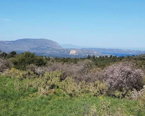 εικόνα ακινήτου
