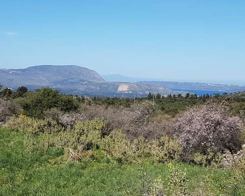 φωτογραφία ακινήτου