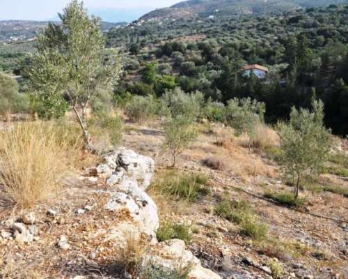 φωτογραφία ακινήτου