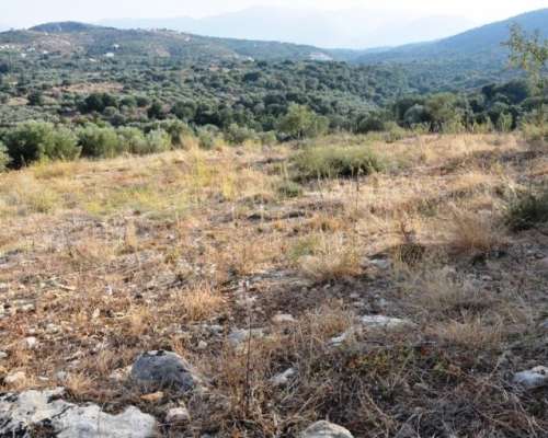 φωτογραφία ακινήτου