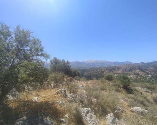 φωτογραφία ακινήτου