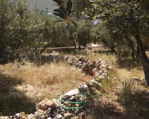 φωτογραφία ακινήτου