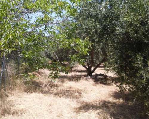 φωτογραφία ακινήτου