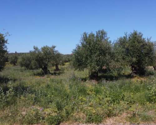 φωτογραφία ακινήτου