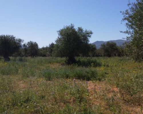 φωτογραφία ακινήτου
