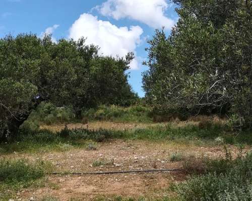φωτογραφία ακινήτου