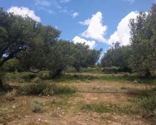 φωτογραφία ακινήτου