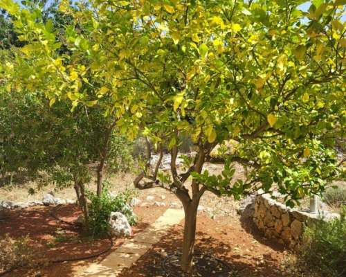 φωτογραφία ακινήτου