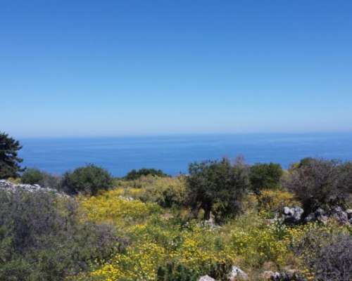 φωτογραφία ακινήτου