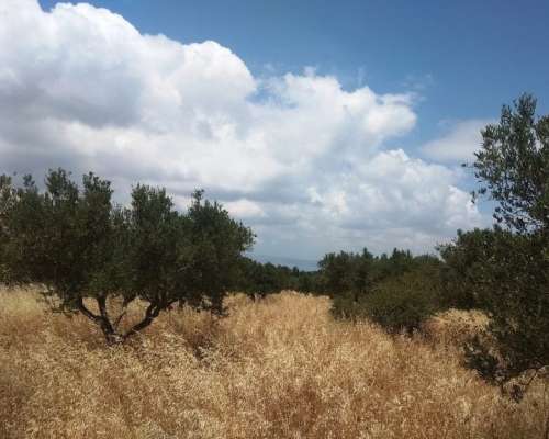 εικόνα ακινήτου