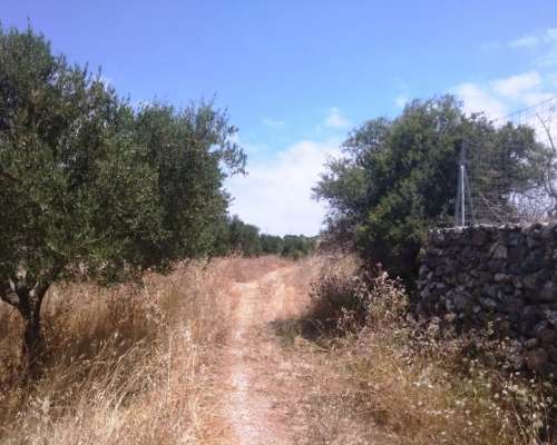 φωτογραφία ακινήτου
