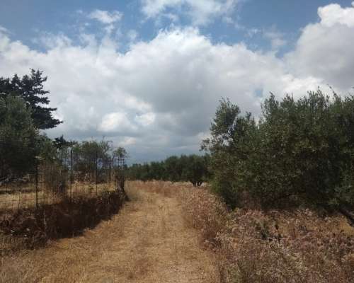φωτογραφία ακινήτου