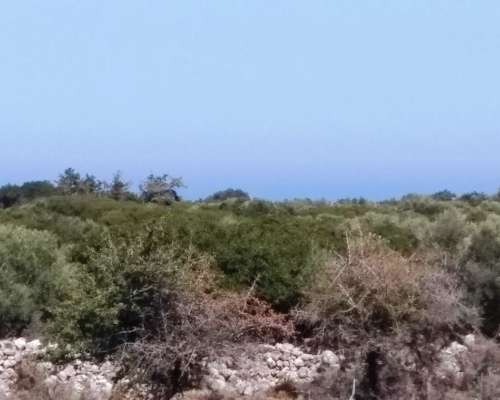 φωτογραφία ακινήτου