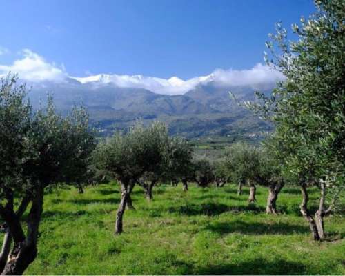εικόνα ακινήτου