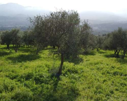 φωτογραφία ακινήτου