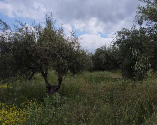 φωτογραφία ακινήτου