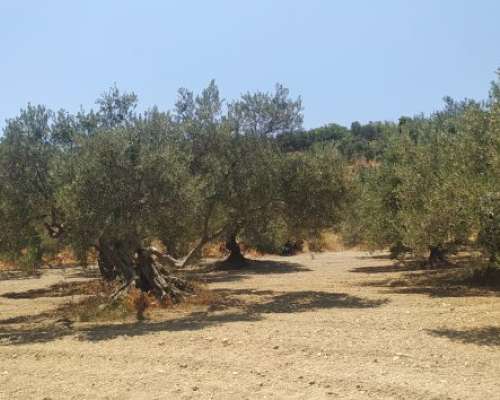 φωτογραφία ακινήτου