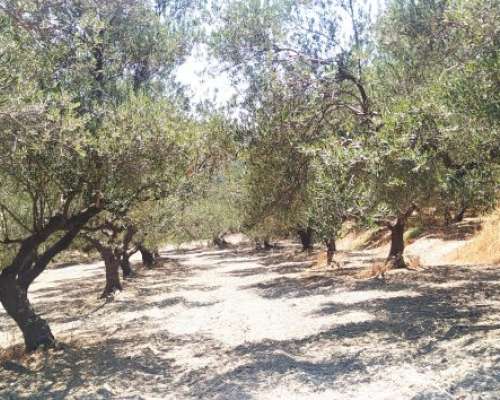 φωτογραφία ακινήτου
