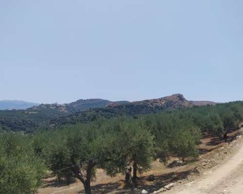 φωτογραφία ακινήτου