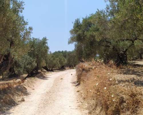 φωτογραφία ακινήτου
