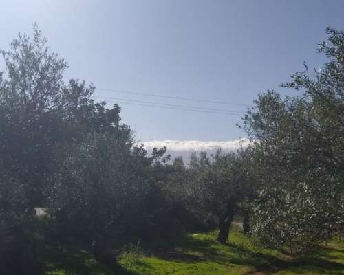 φωτογραφία ακινήτου