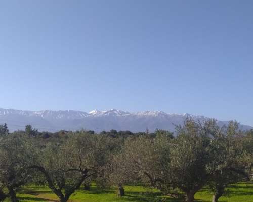φωτογραφία ακινήτου