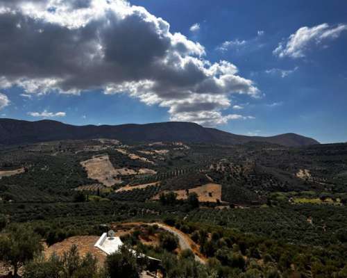 φωτογραφία ακινήτου