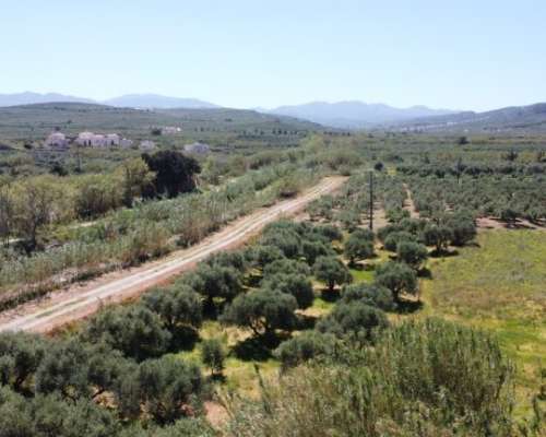 φωτογραφία ακινήτου