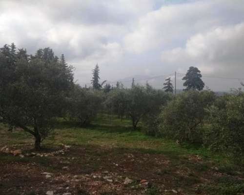 φωτογραφία ακινήτου