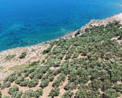 φωτογραφία ακινήτου