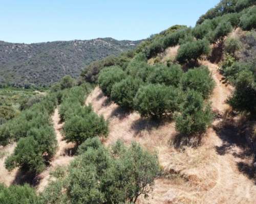 φωτογραφία ακινήτου