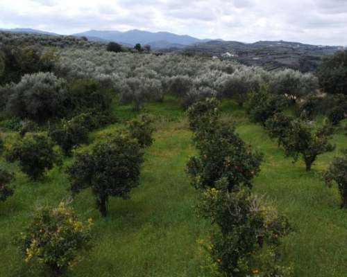 εικόνα ακινήτου