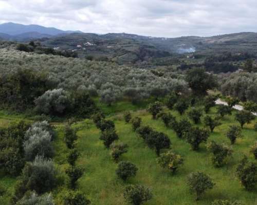 φωτογραφία ακινήτου