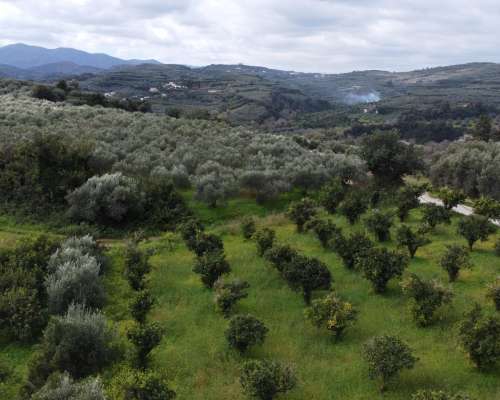 φωτογραφία ακινήτου