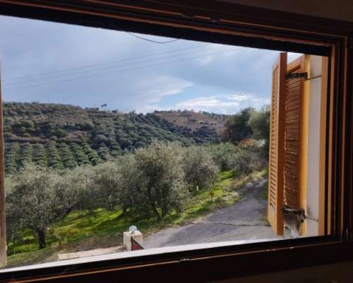 φωτογραφία ακινήτου
