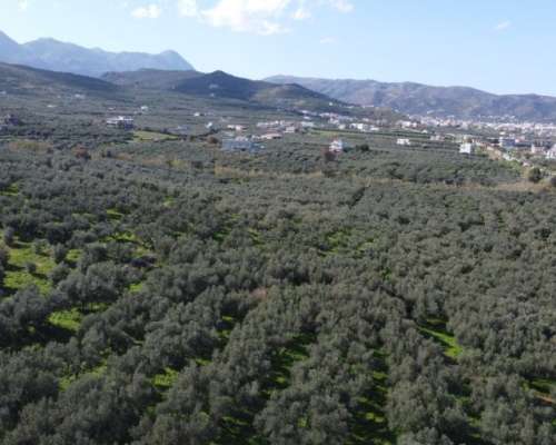 φωτογραφία ακινήτου