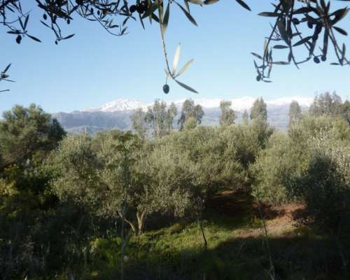 φωτογραφία ακινήτου