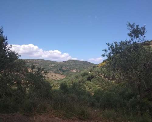 εικόνα ακινήτου
