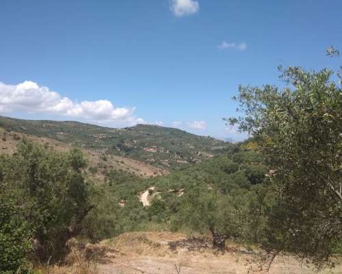 φωτογραφία ακινήτου