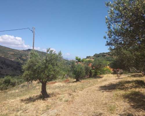 φωτογραφία ακινήτου