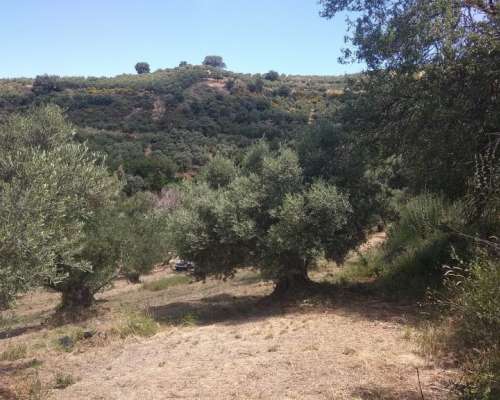 φωτογραφία ακινήτου