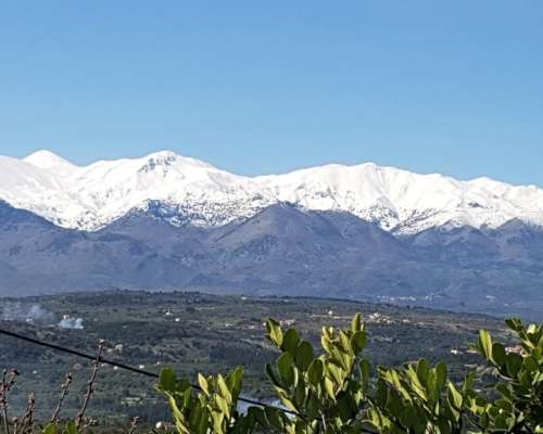 φωτογραφία ακινήτου