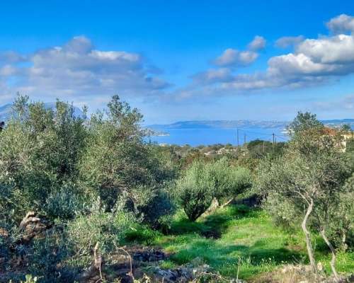 εικόνα ακινήτου