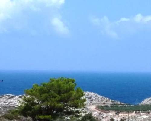 εικόνα ακινήτου