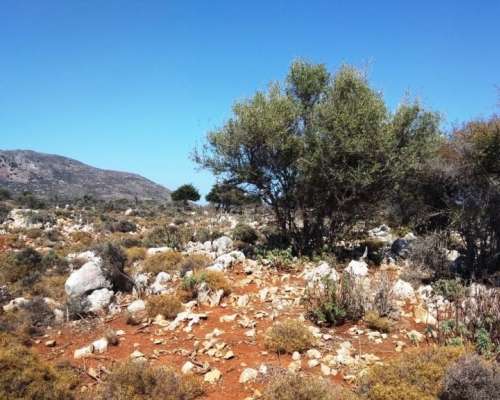 εικόνα ακινήτου